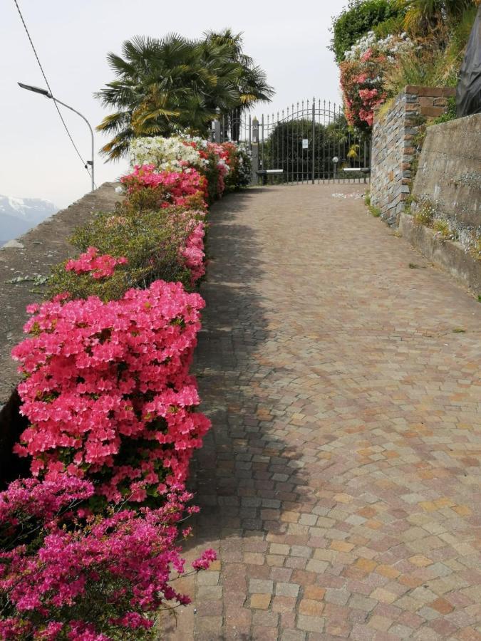 Villetta Primavera Verbania Luaran gambar