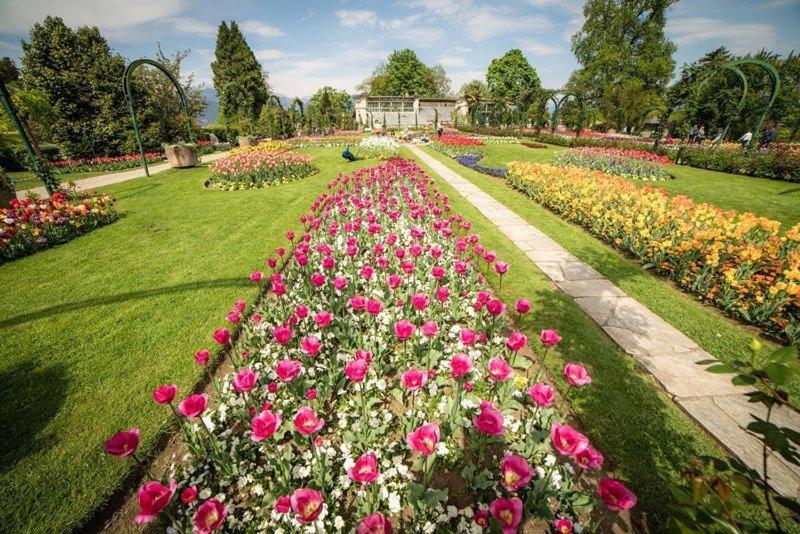 Villetta Primavera Verbania Luaran gambar